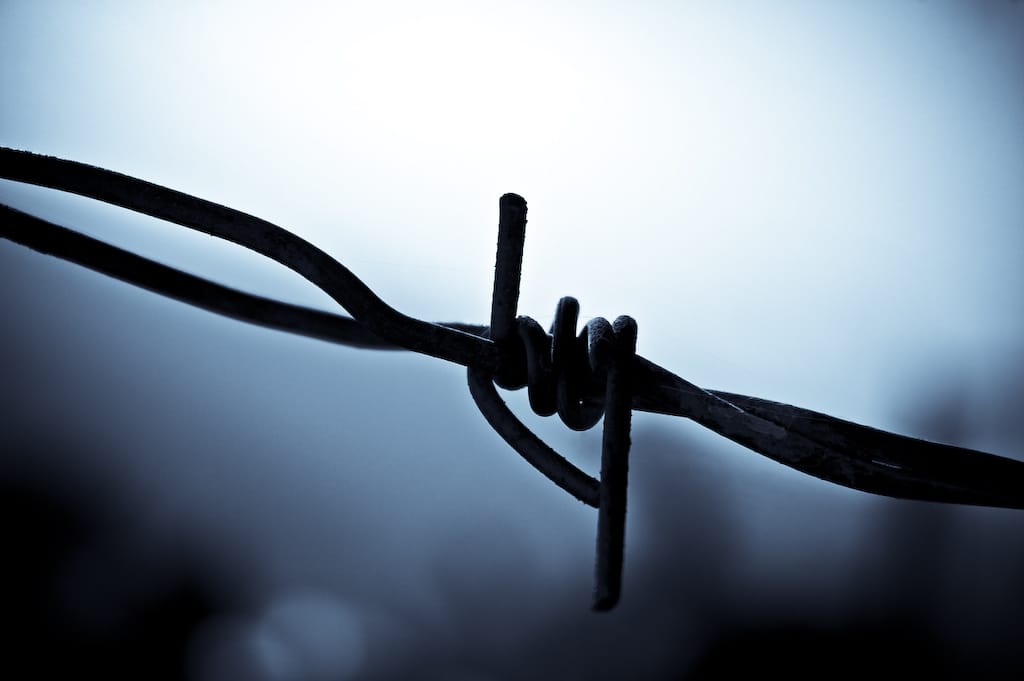 Freedom is optional Post feature image